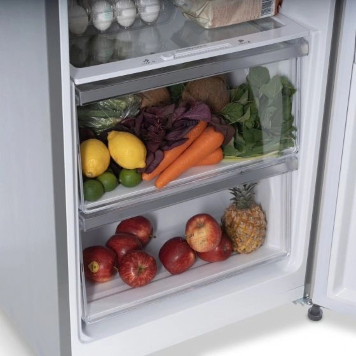 Terim Upright Fridge, 373 L, TERUR460SS